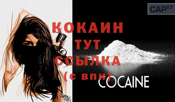 крисы Дмитров