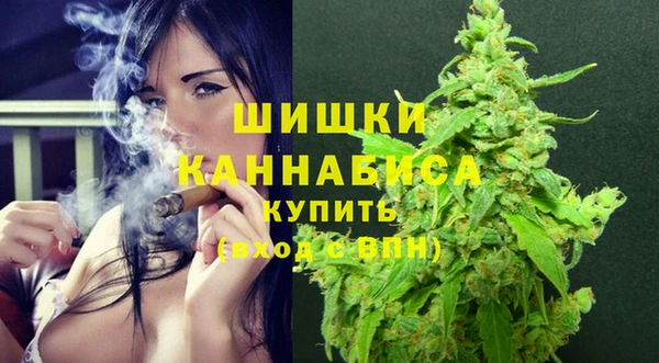 крисы Дмитров