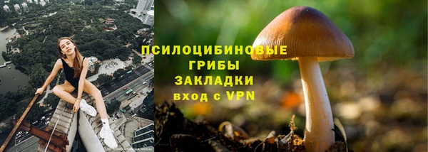 крисы Дмитров