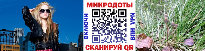 Псилоцибиновые грибы прущие грибы  закладка  Коломна 